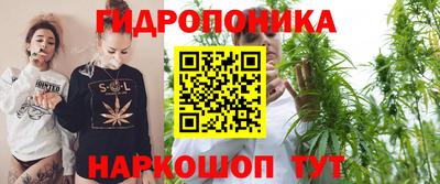 спиды Будённовск