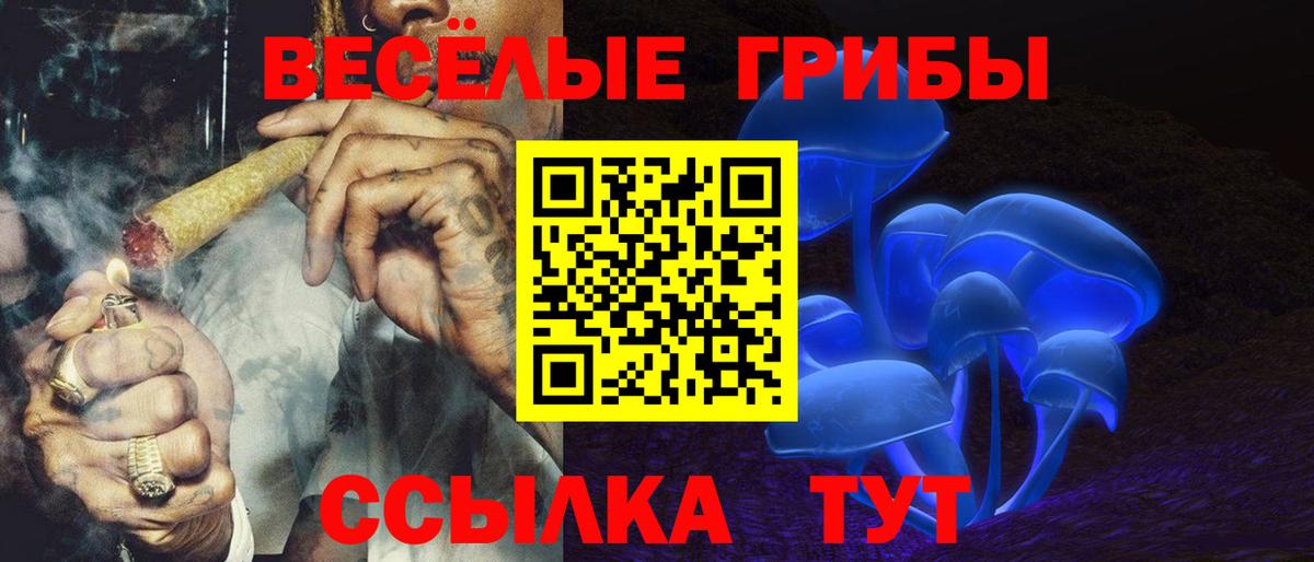 Чита  Псилоцибиновые грибы ЛСД  Вход с VPN 